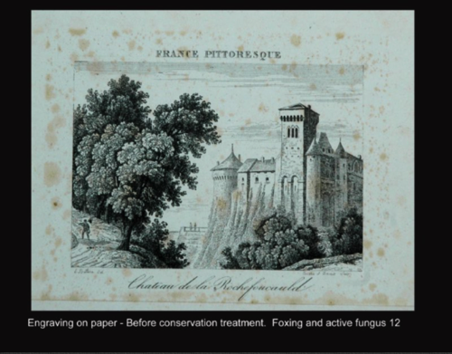 Engraving on paper - Before conservation.
Foxing and active fungus on paper. Engraving on paper - Before conservation.
Foxing and active fungus on paper.